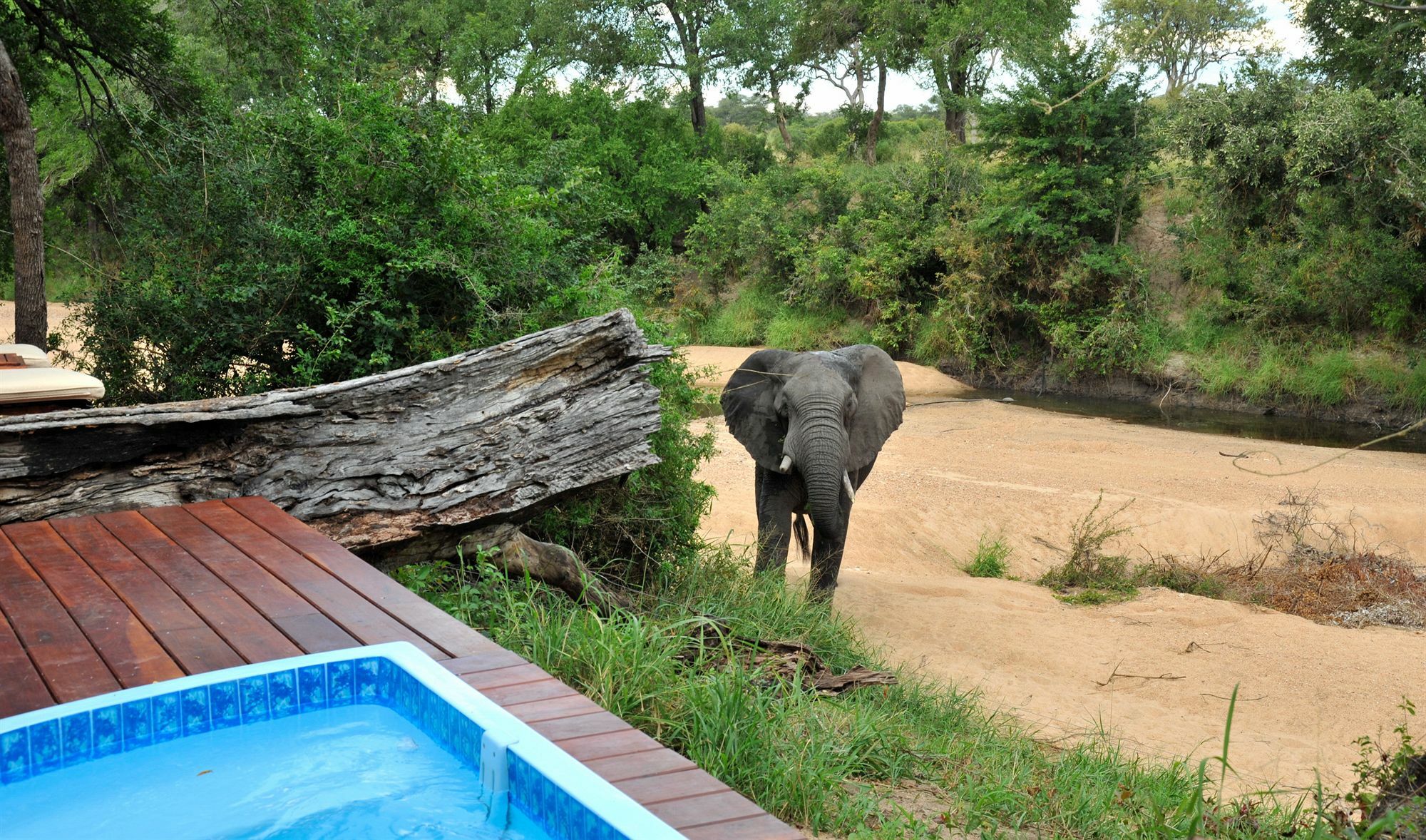Imbali Safari Lodge Mluwati Concession 외부 사진